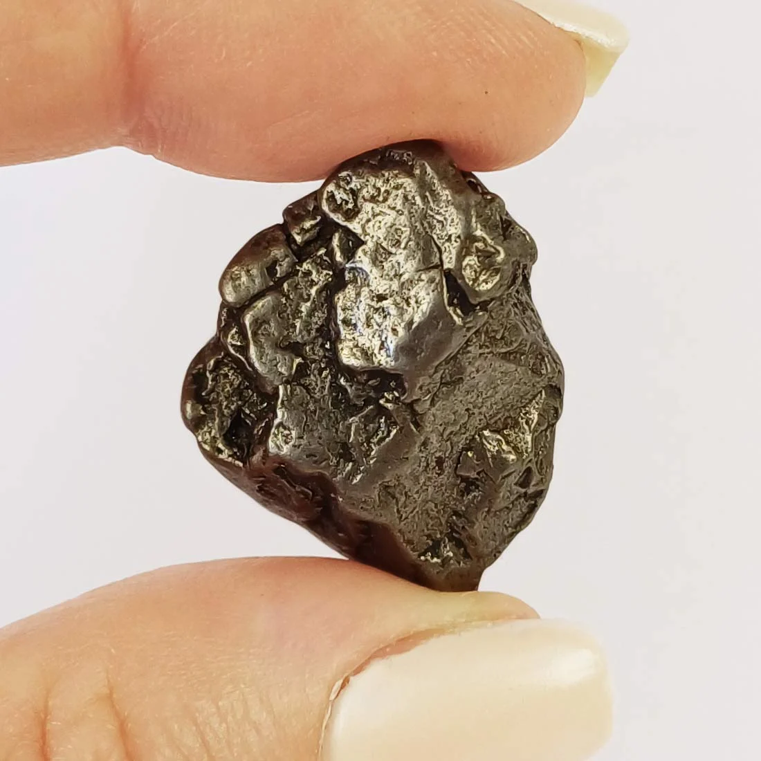 Campo Del Cielo Meteorite 2.8 x 2.4cm