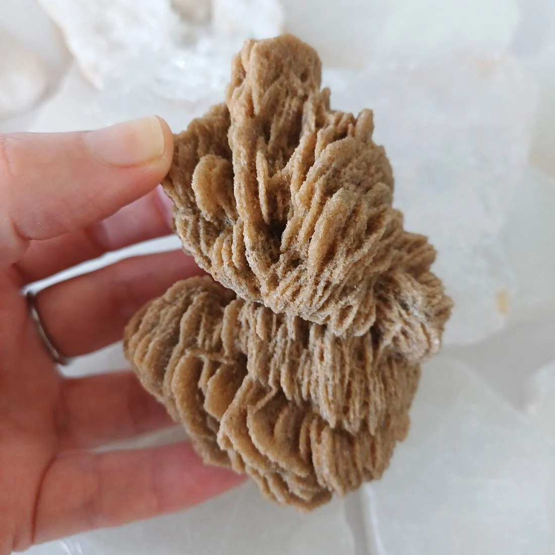 Desert rose mineral
