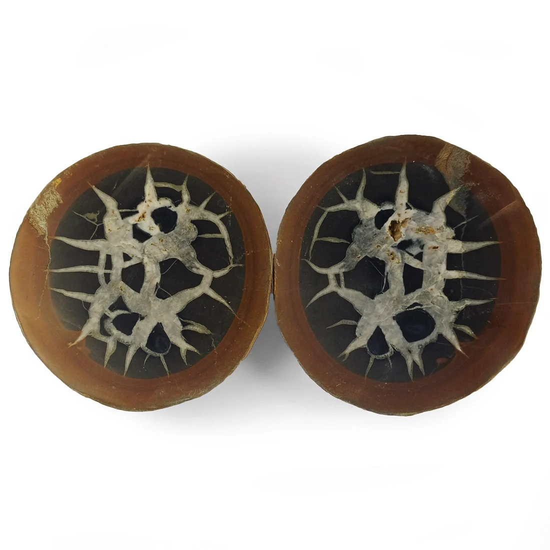 Septarian pair