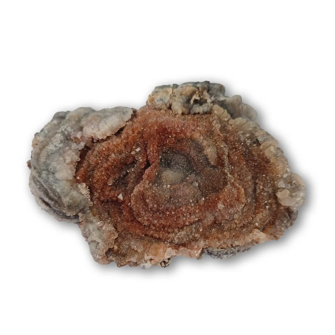 Chalcedony disk 5.5 x 4.5 cm