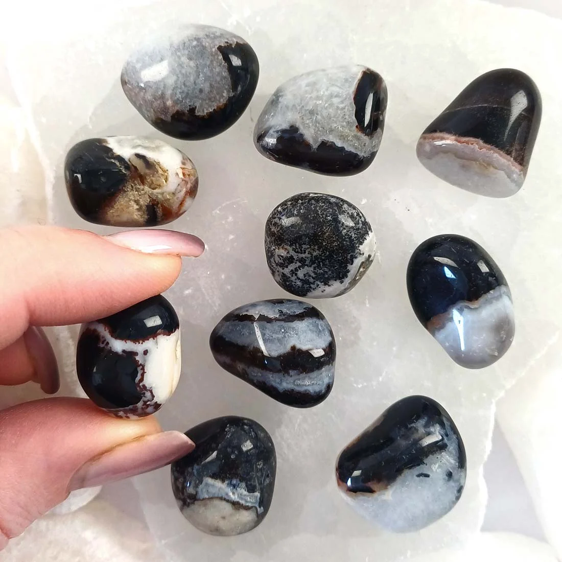 Polished Sardonyx tumbled stone with natural brown, black, and white banding, smooth crystal associated with grounding and strength