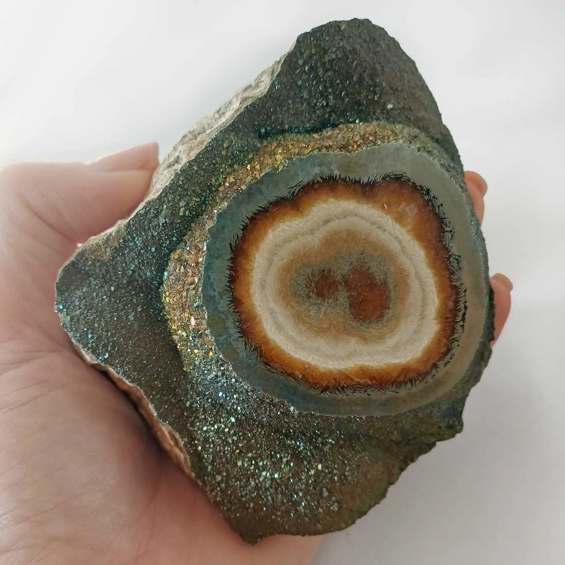 Polished Baryte and Marcasite mineral specimen from Poland with orbicular layered center and sparkling metallic druzy surface