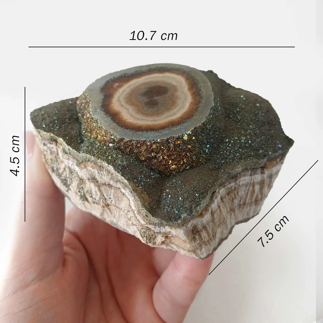 Polished Baryte and Marcasite mineral specimen from Poland with orbicular layered center and sparkling metallic druzy surface