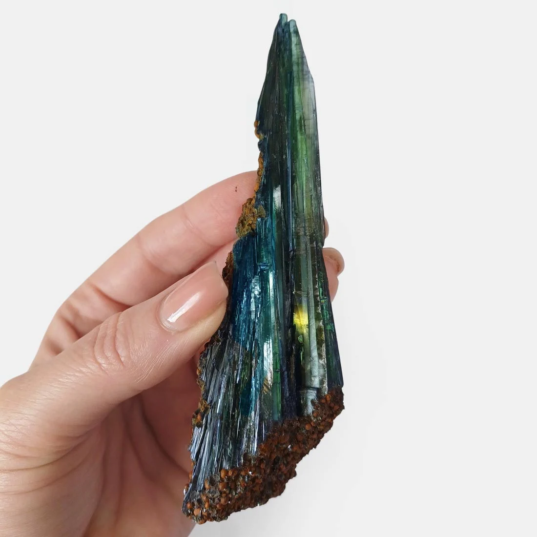 Collector Vivianite specimen displaying natural blue-green oxidation and elongated phosphate crystal structure.