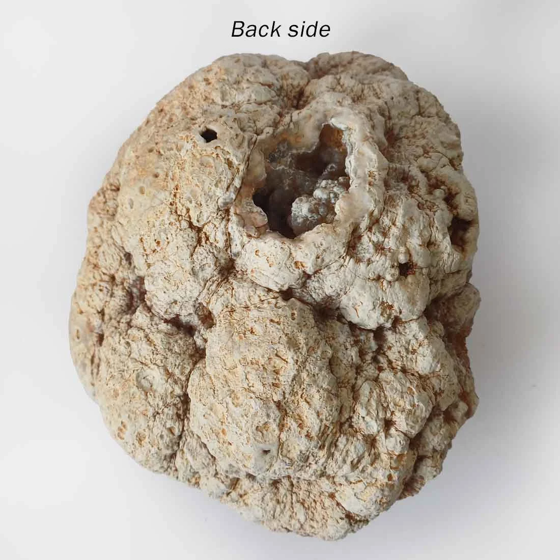 Natural chalcedony botryoidal geode with rounded grey and brown crystal formations and druzy texture - back side