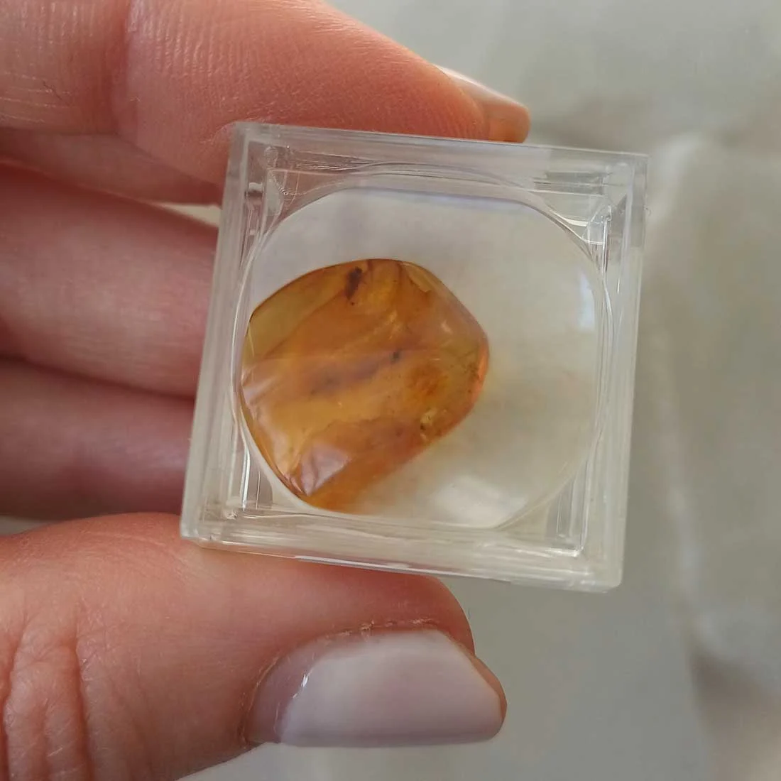 Amber With Insect Inclusion - 0.4 g - Image 2