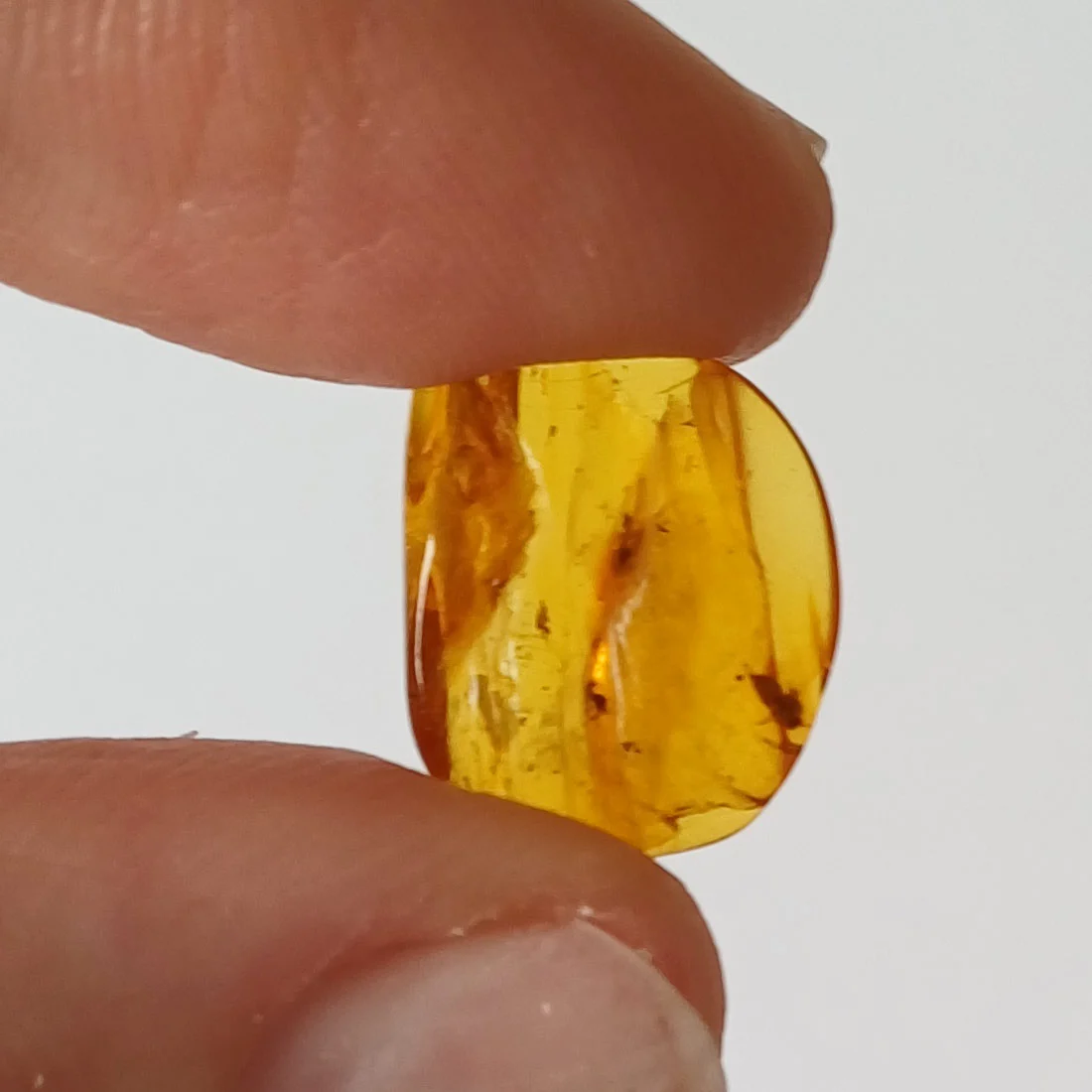 Amber with insect inclusion