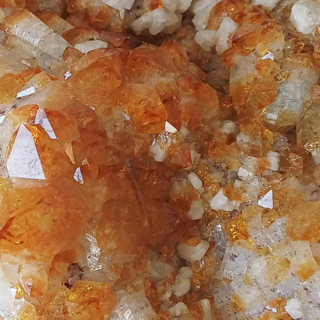 Large natural Citrine crystal cluster with multiple golden quartz points and white Calcite crystals.