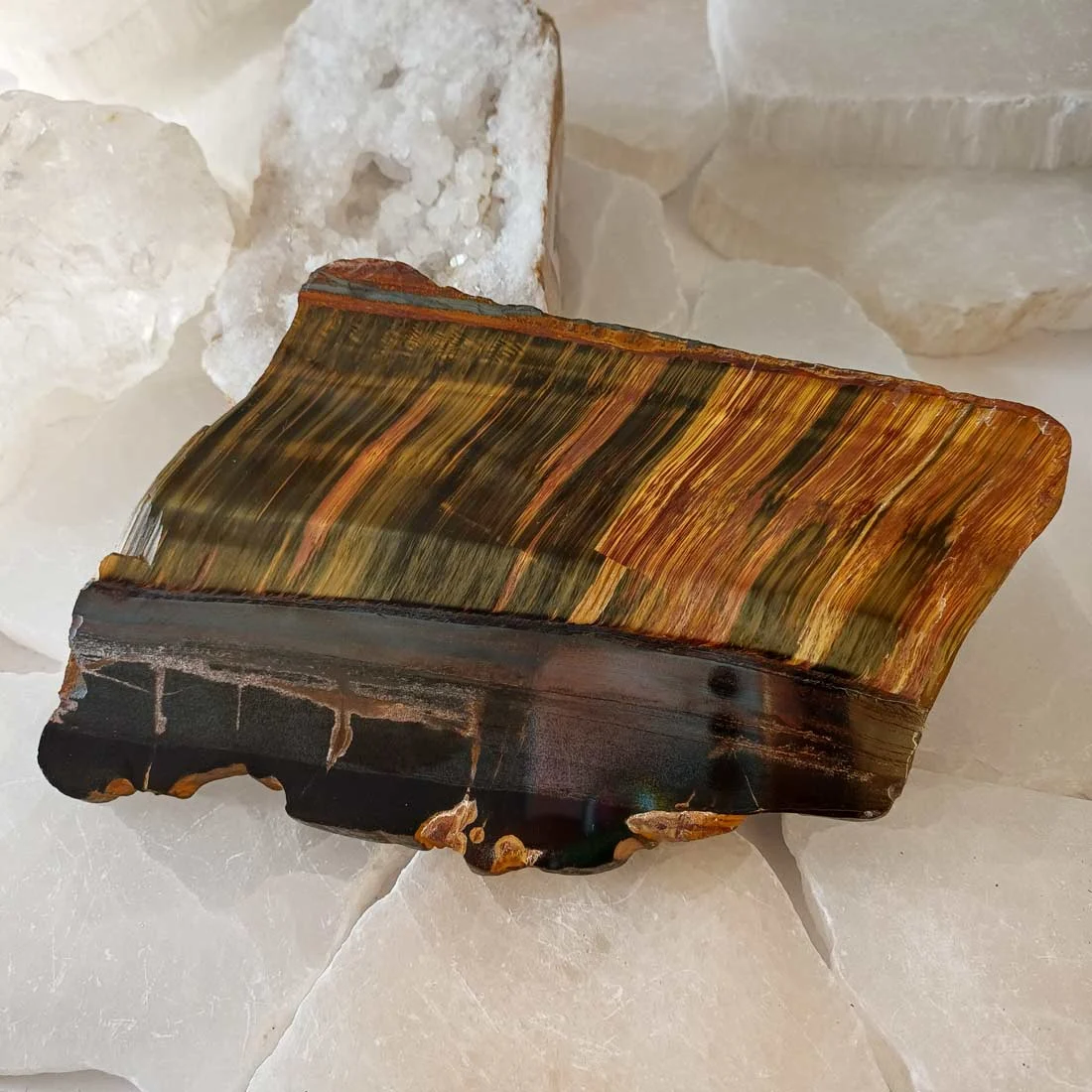 Natural Tiger Eye slice with golden-brown chatoyant bands and dark brown mineral patterns