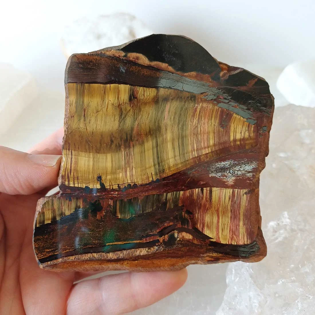 Natural Tiger Eye slice with golden-brown chatoyant bands and dark brown mineral patterns - cyprus collection